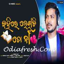 Bahire Lekhichhi To Naa